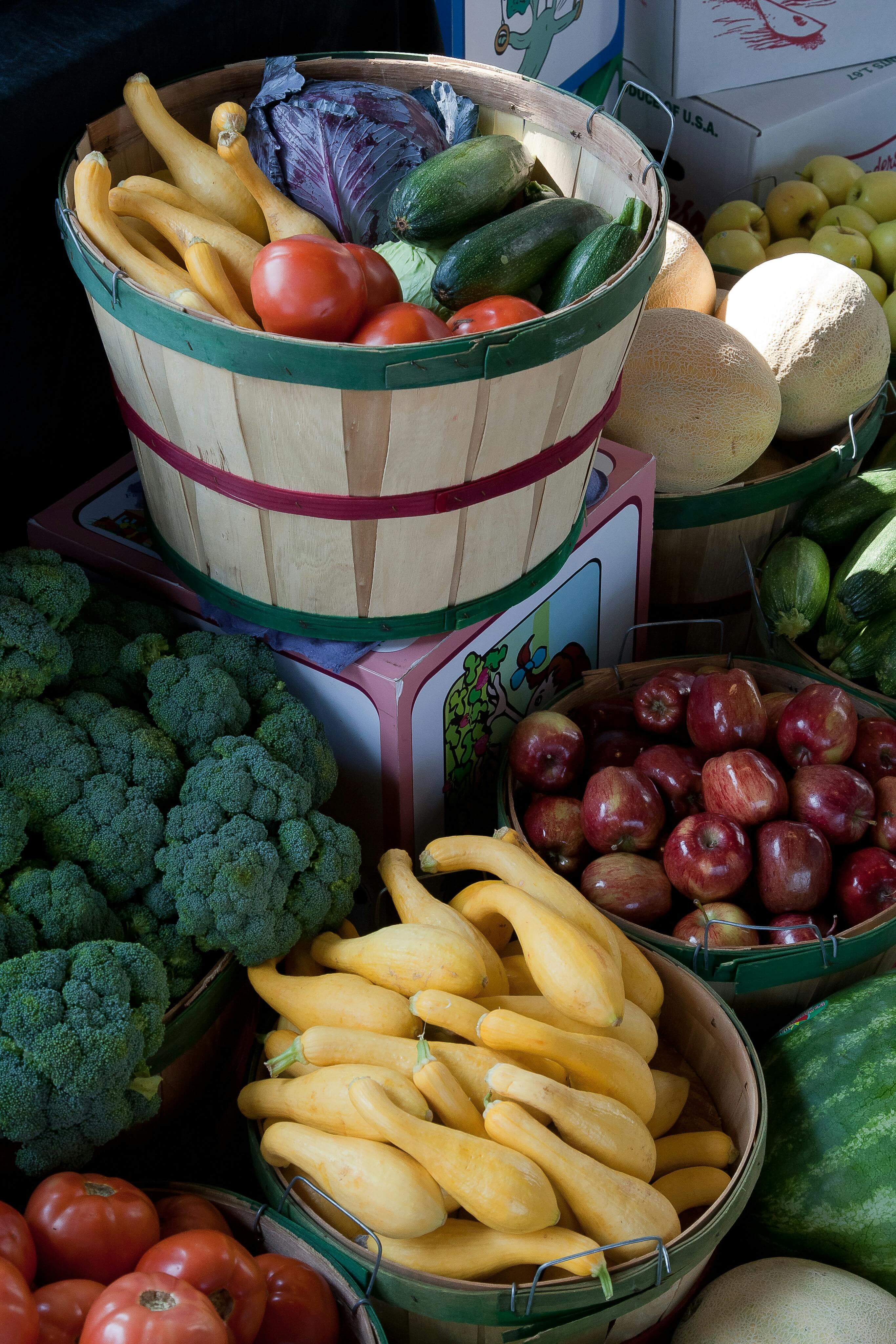 Organic farming methods in Indian agriculture